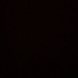 Meet your Posher, Connor